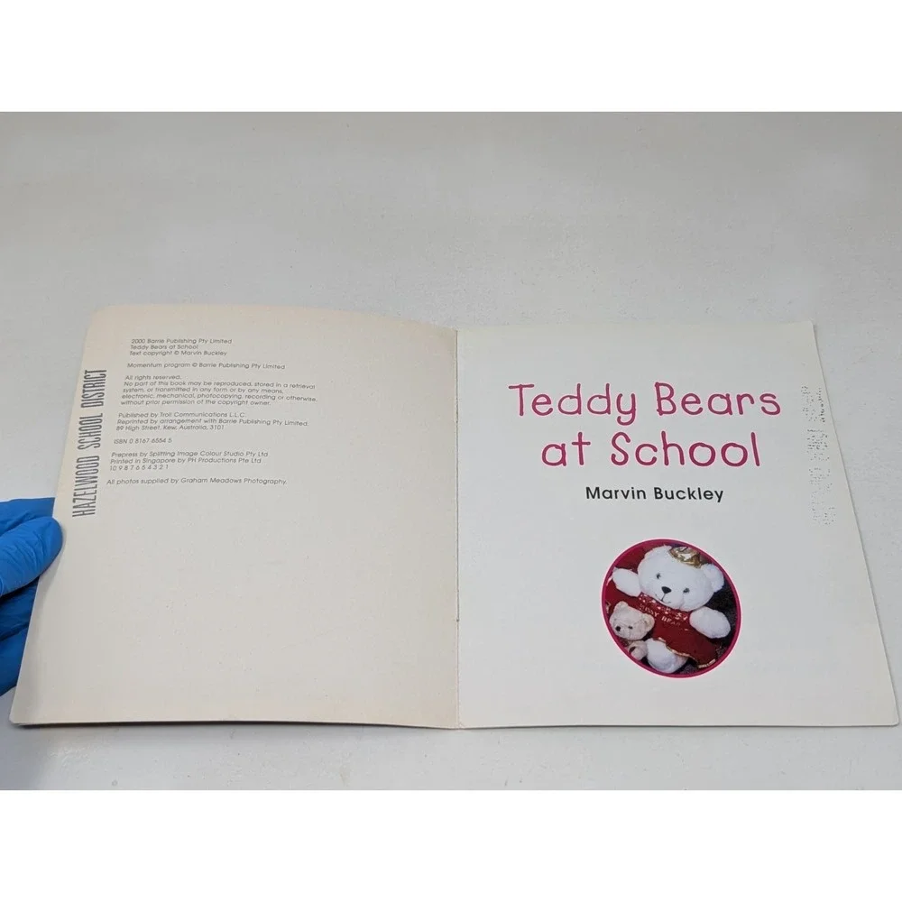 Vintage Teddy‎ Bears at School by Marvin Buckley Kids Book Photos 2000 Y2K Troll